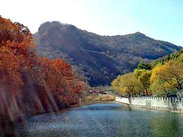 澳门天天彩期期精准平肖，梧州seo程序